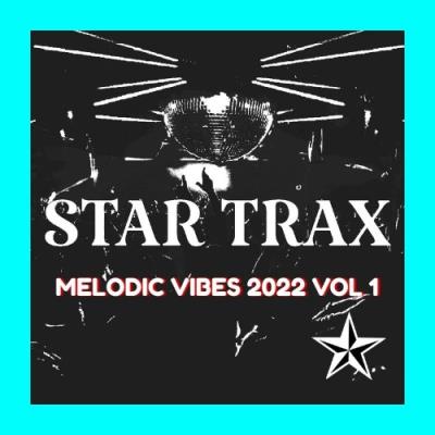 VA - Melodic Vibes 2022 Vol 1 (2022) (MP3)
