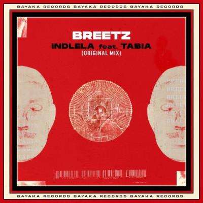 VA - Breetz feat. Tabia - Indlela (2022) (MP3)