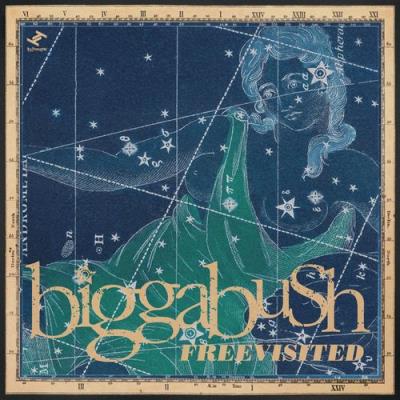 VA - Biggabush - Freevisited (2022) (MP3)