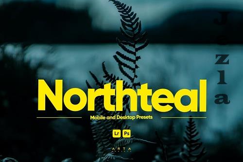 ARTA - Northteal Presets for Lightroom