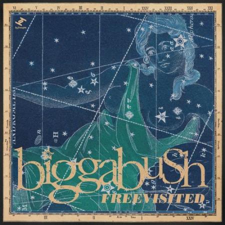 Сборник Biggabush - Freevisited (2022)