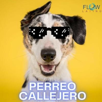 VA - Flow Latino - Perreo Callejero (2022) (MP3)