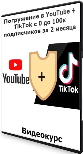 Погружение в YouTube + TikTok с 0 до 100к подписчиков за 2 месяца (2021) Видеокурс