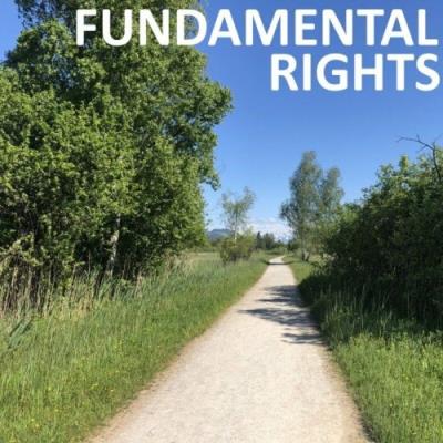 VA - CHILI BEATS - Fundamental Rights (2022) (MP3)