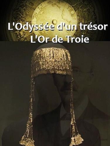 Одиссея сокровищ: золото Приама / L'Odyssée d'un trésor - L'Or de Troie (2020) HDTVRip 720p