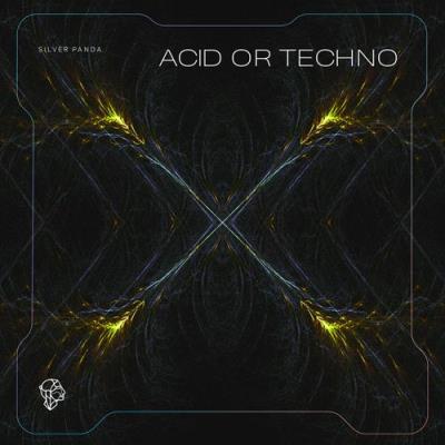 VA - Silver Panda - Acid or Techno (2022) (MP3)