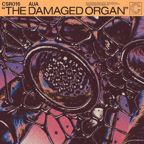 VA - Aua, Anika - The Damaged Organ (2022) (MP3)