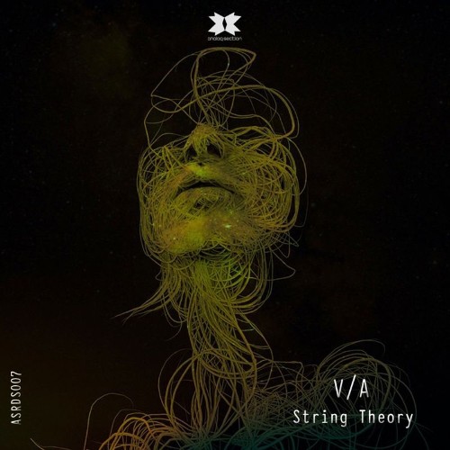 VA - Analog Section - String Theory (2022) (MP3)