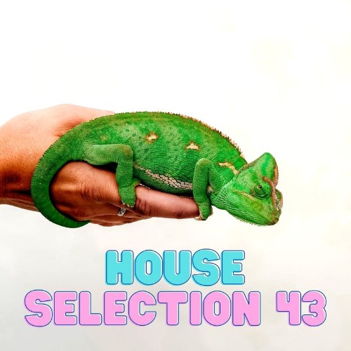 VA - House Selection 43 (2022) (MP3)