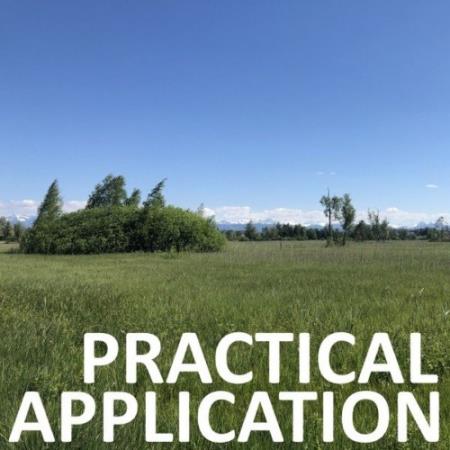 Сборник Chili Beats - Practical Application (2022)