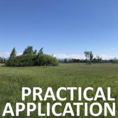 VA - Chili Beats - Practical Application (2022) (MP3)