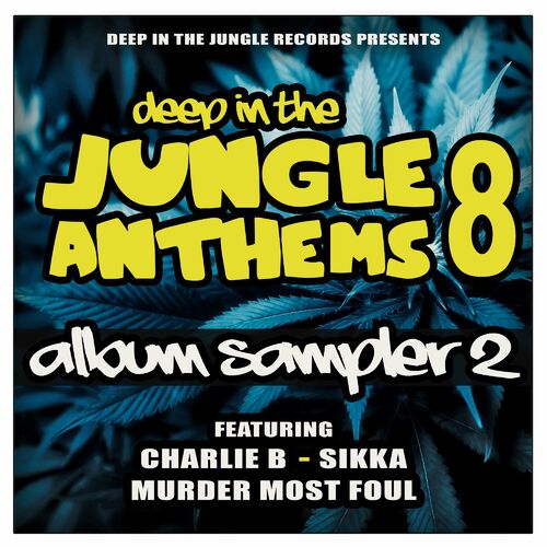 Deep In The Jungle Anthems 8 - LP Sampler 2 (2022)