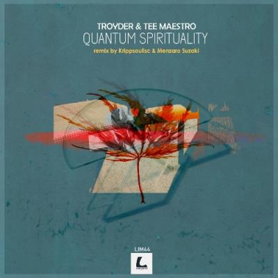 VA - Troyder & Tee Maestro - Quantum Spirituality (Remixes) (2022) (MP3)
