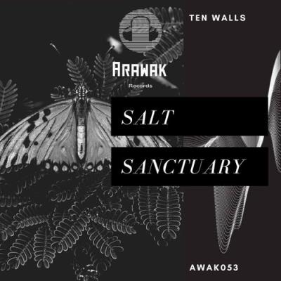 VA - Ten Walls - Salt Sanctuary (2022) (MP3)