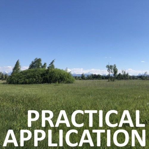 VA - Chili Beats - Practical Application (2022) (MP3)
