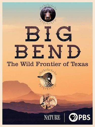 Торжество дикой природы. Национальный парк Биг Бенд / Big Bend - America's Wildest Frontier (2020) DVB