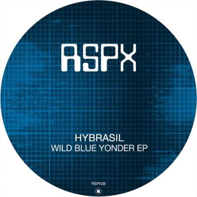 VA - Hybrasil - Wild Blue Yonder EP (2022) (MP3)