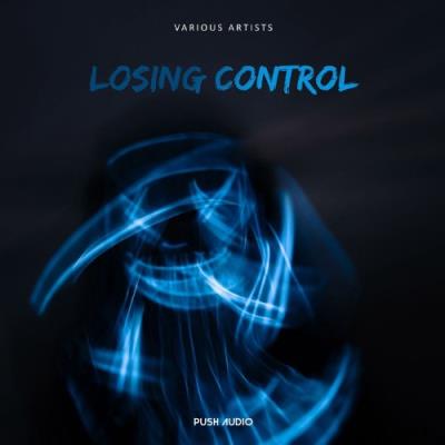 VA - Push Audio - Losing Control (2022) (MP3)
