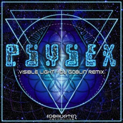VA - Psysex - Visible Light (DJ Goblin Remix) (2022) (MP3)