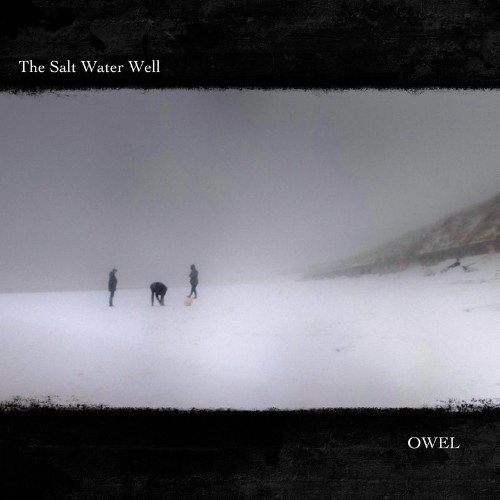 VA - Owel - The Salt Water Well (2022) (MP3)