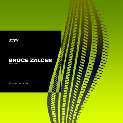 VA - Bruce Zalcer - The Hunt (2022) (MP3)