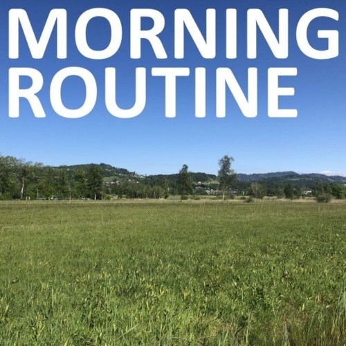 VA - Chili Beats - Morning Routine (2022) (MP3)