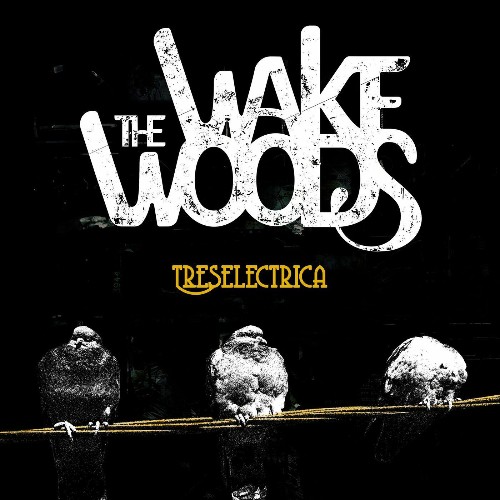 VA - The Wake Woods - Treselectrica (2022) (MP3)