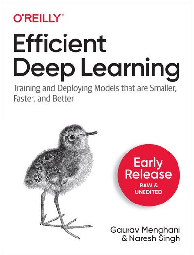 Efficient Deep Learning (First Early Release)