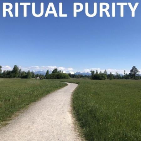 Сборник Chili Beats - Ritual Purity (2022)