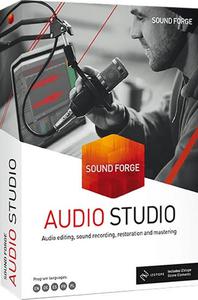 MAGIX SOUND FORGE Audio Studio 16.0.0.39 (x64) Multilingual
