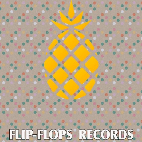 VA - Flip-Flops - In Tools Style (2022) (MP3)