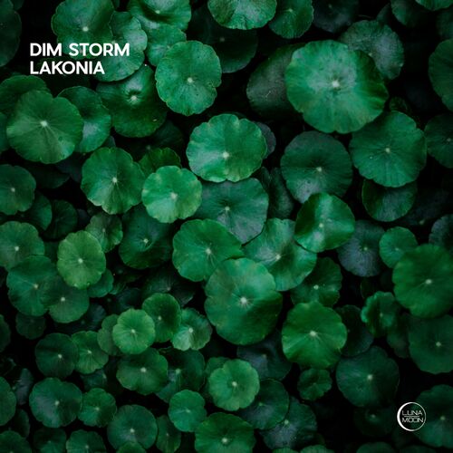 VA - Dim Storm - Lakonia (2022) (MP3)