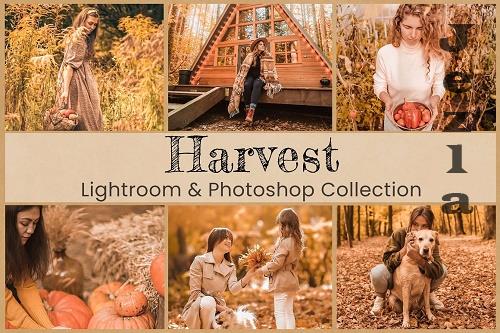 Harvest Photoshop Actions Lightroom - 6911081