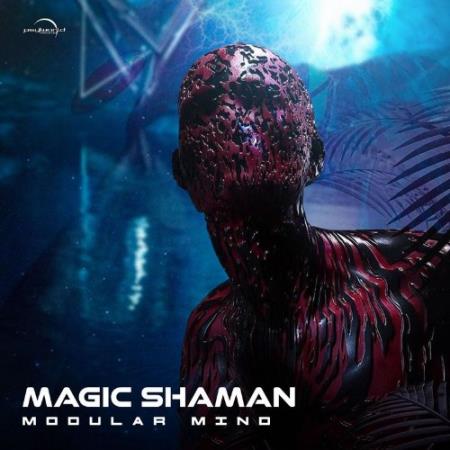 Сборник magic shaman - Modular Mind (2022)