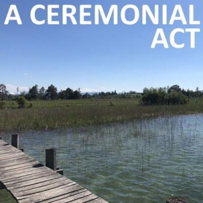 VA - Chili Beats - A Ceremonial Act (2022) (MP3)
