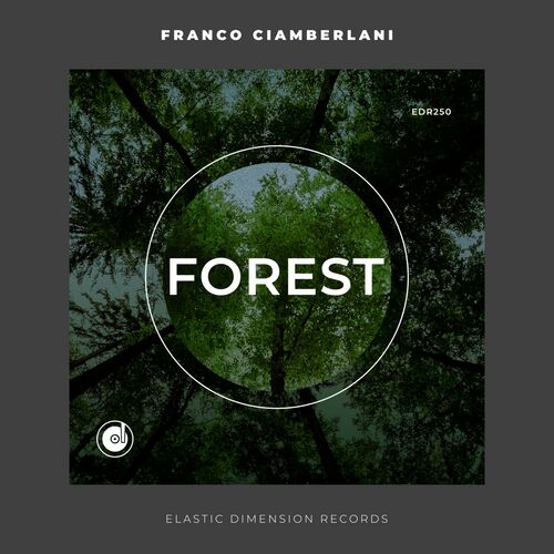 VA - Franco Ciamberlani - Forest (2022) (MP3)