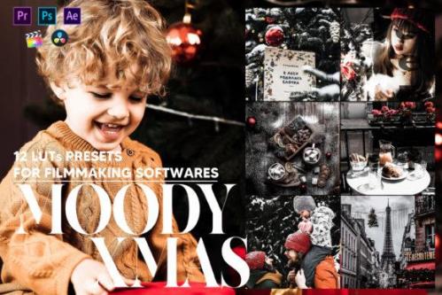 12 Moody Xmas Video LUTs Presets