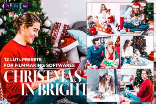 12 Christmas in Bright Video LUTs Preset