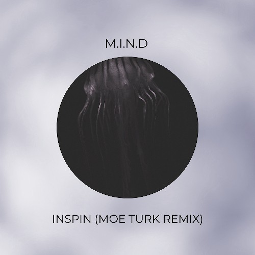 M.I.N.D - Inspin (2022)