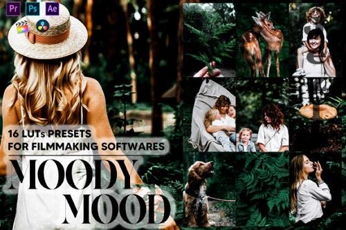 16 Moody Mood Video LUTs Presets