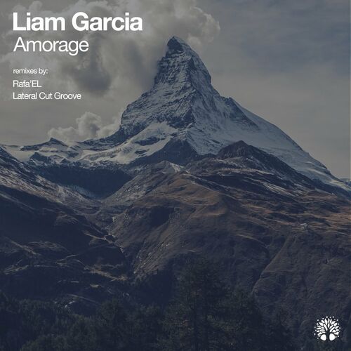 VA - Liam Garcia - Amorage (2022) (MP3)