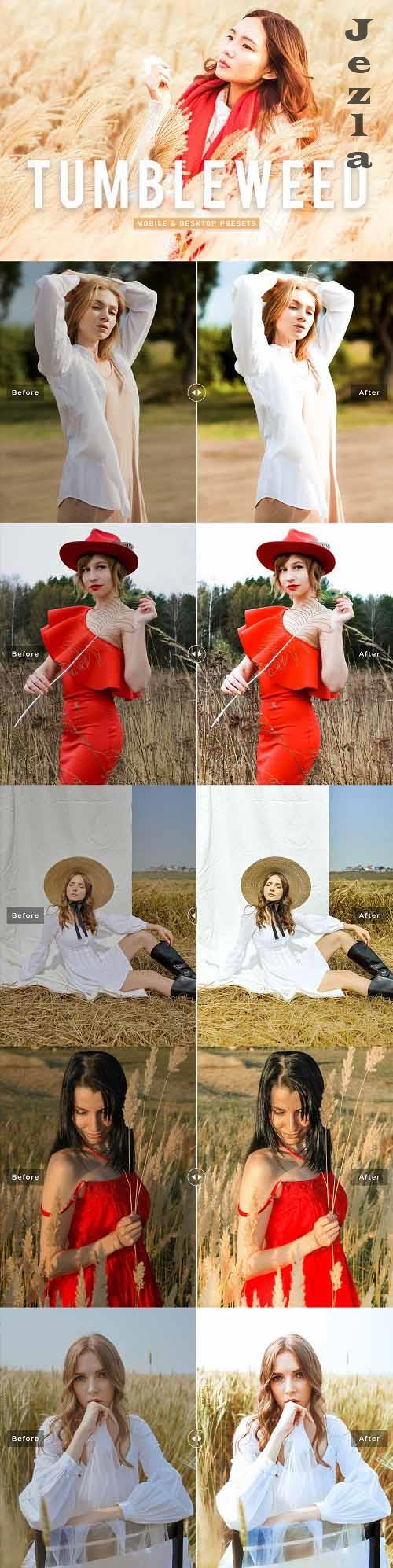 Tumbleweed Pro Lightroom Presets - 6916713
