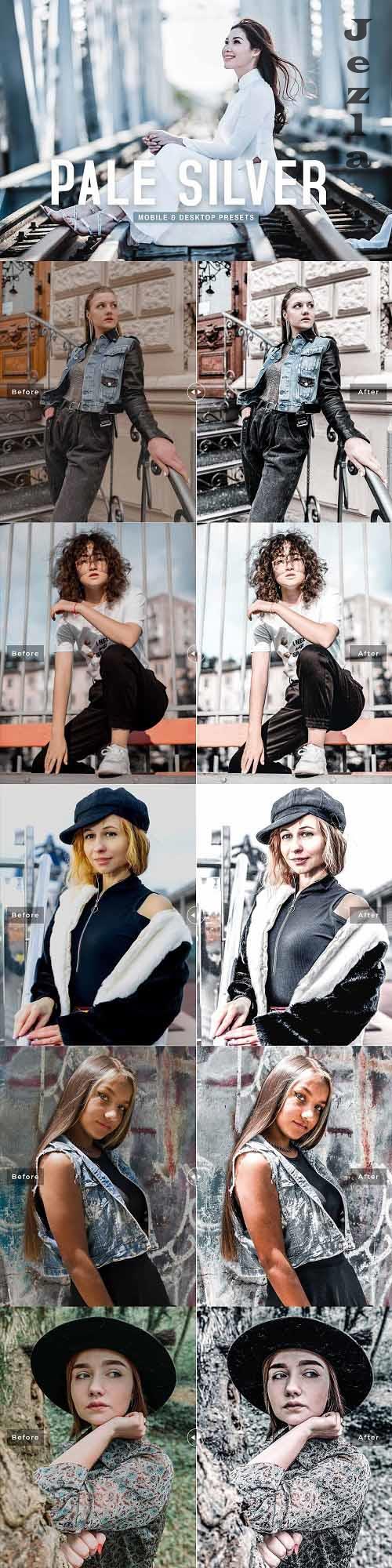 Pale Silver Pro Lightroom Presets - 6915587
