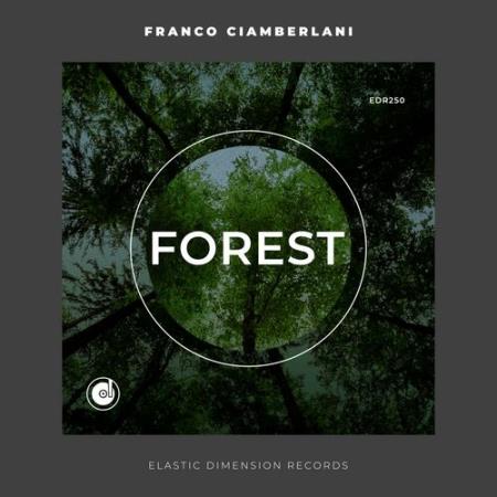 Сборник Franco Ciamberlani - Forest (2022)
