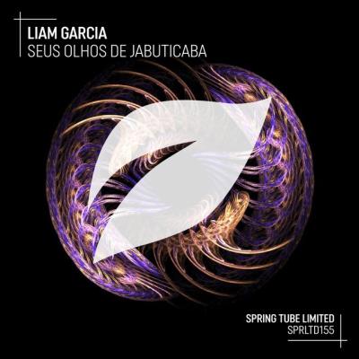 VA - Liam Garcia - Seus Olhos De Jabuticaba (2022) (MP3)