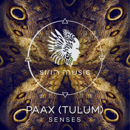 Сборник PAAX (Tulum) & Stefan Obermaier - Senses (2022)