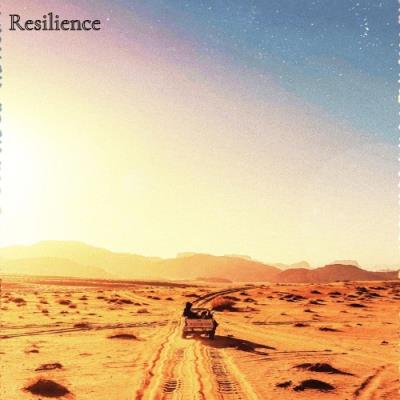 VA - Enima feat. TK - Resilience (2022) (MP3)