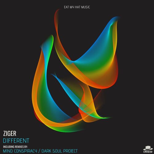 VA - Ziger - Different (2022) (MP3)