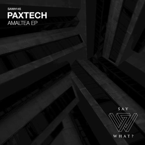 VA - Paxtech - Amaltea (2022) (MP3)