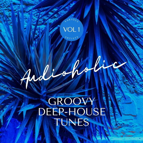 Сборник Audioholic Groovy Deep-House Tunes Vol. 1 (2022) AAC